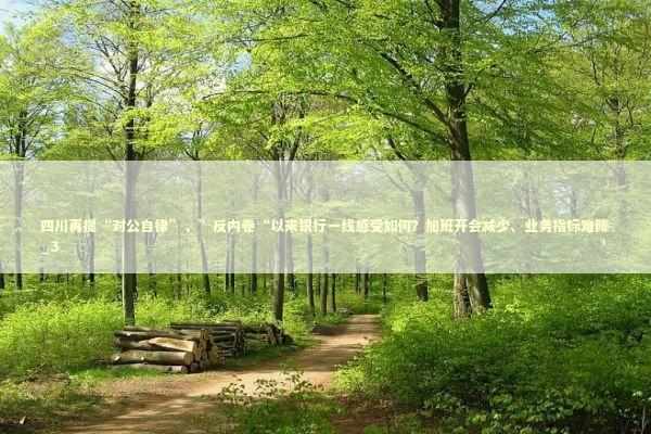 四川再提“对公自律”，”反内卷“以来银行一线感受如何？加班开会减少、业务指标难降_3