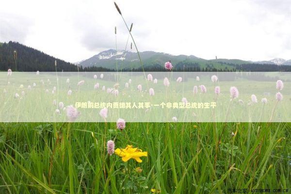 伊朗前总统内贾德其人其事-一个非典型总统的生平