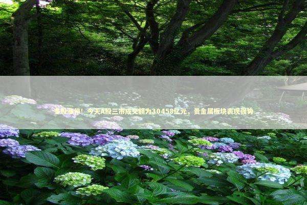 多股涨停！今天A股三市成交额为30458亿元，贵金属板块表现强势