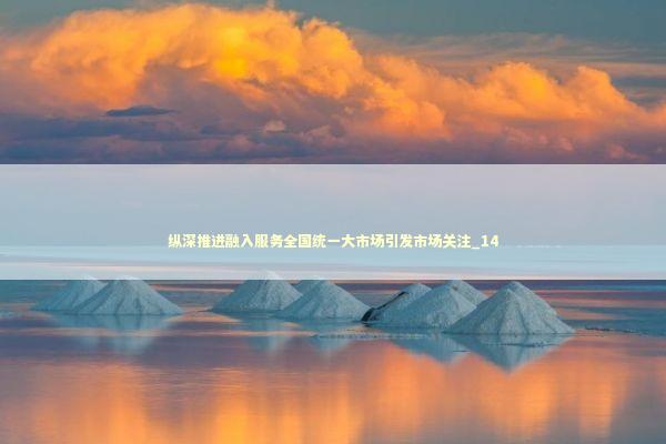 纵深推进融入服务全国统一大市场引发市场关注_14