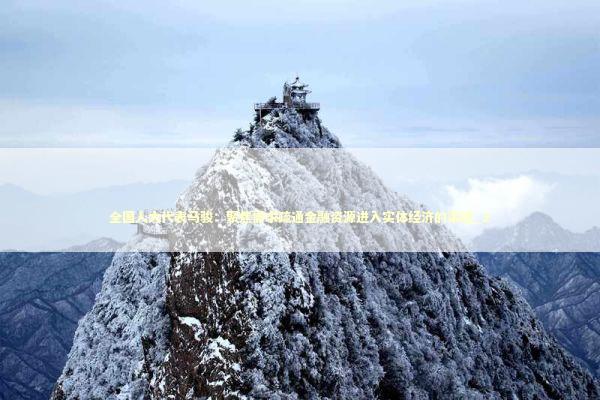 全国人大代表马骏：聚焦需求疏通金融资源进入实体经济的渠道_2