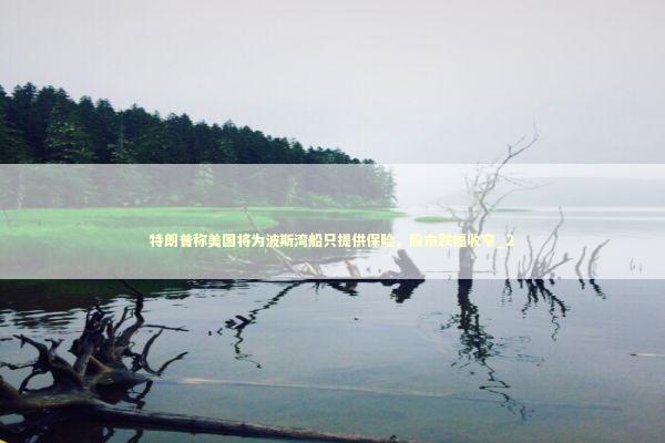 特朗普称美国将为波斯湾船只提供保险，股市跌幅收窄_2