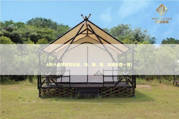 A股小金属涨势延续，钨、锑、钼、镁谁更胜一筹？