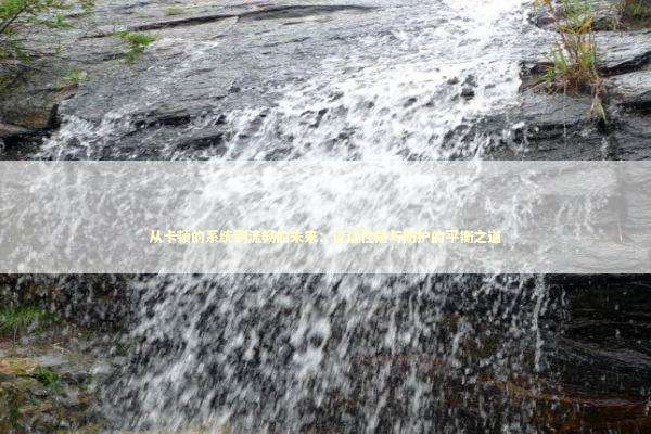 从卡顿的系统到流畅的未来：谈谈性能与防护的平衡之道