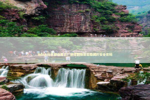 为什么行家都在用它？速度翻倍背后隐藏的安全密码