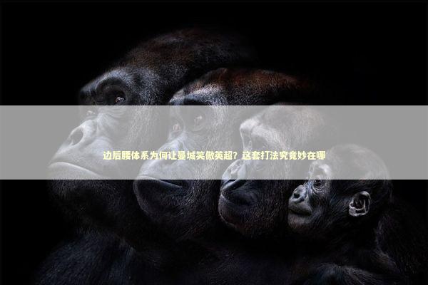 边后腰体系为何让曼城笑傲英超？这套打法究竟妙在哪